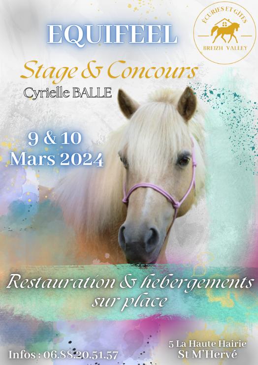 Concours et stage d'Equifeel
